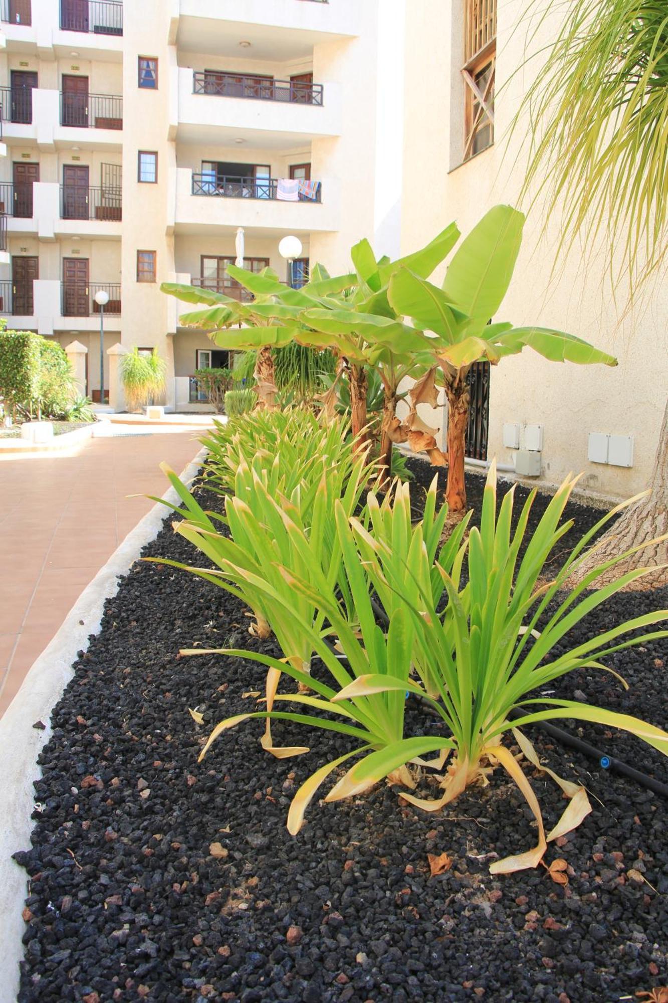 Las Americas - 2 Bedrooms - Flayla-A Arona  Zewnętrze zdjęcie